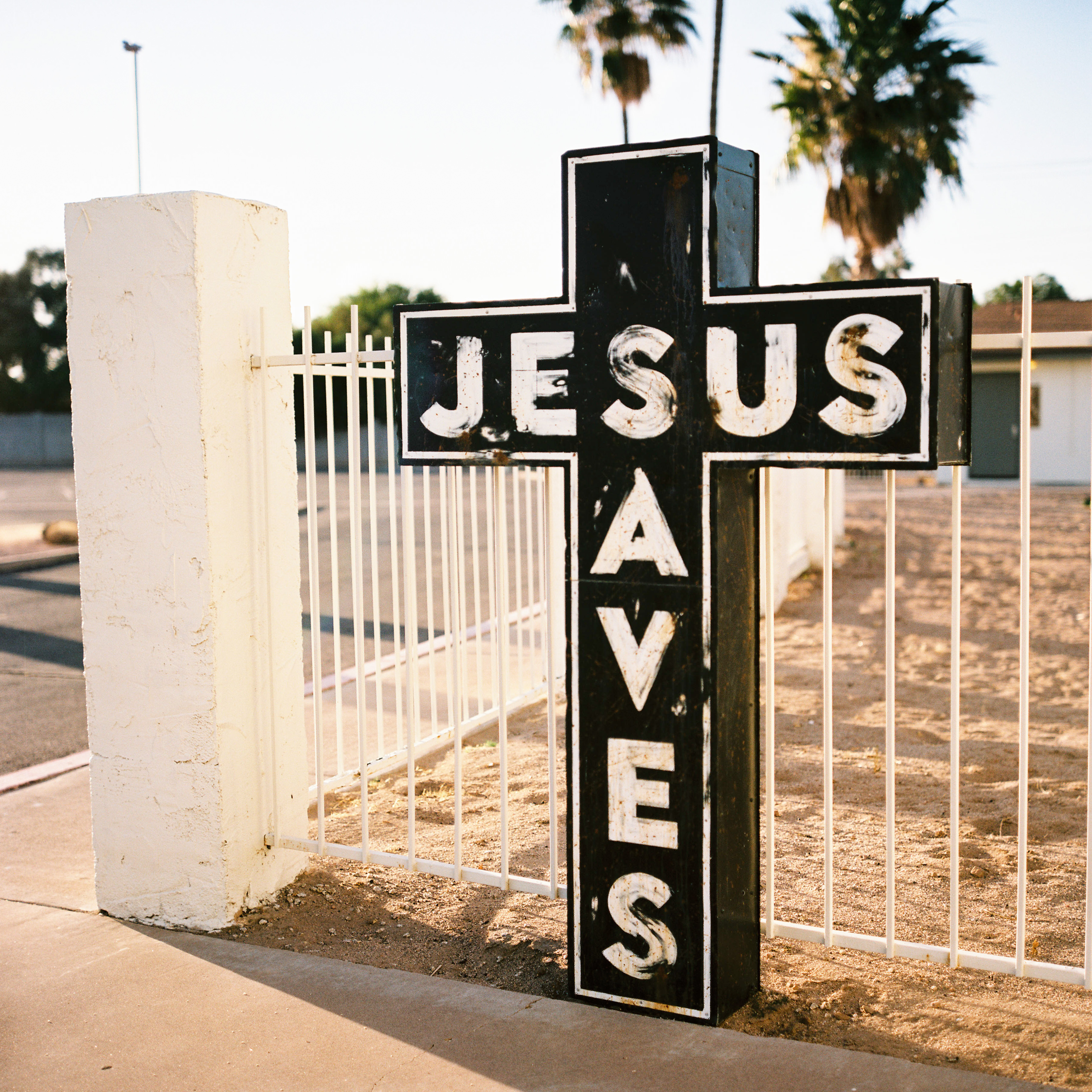 Mark Driscoll