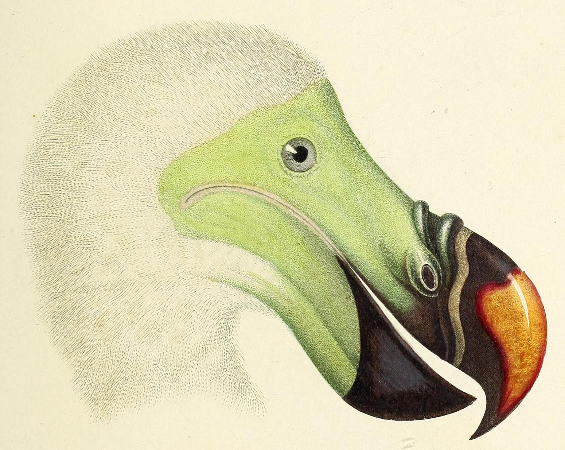 Gervais, Paul