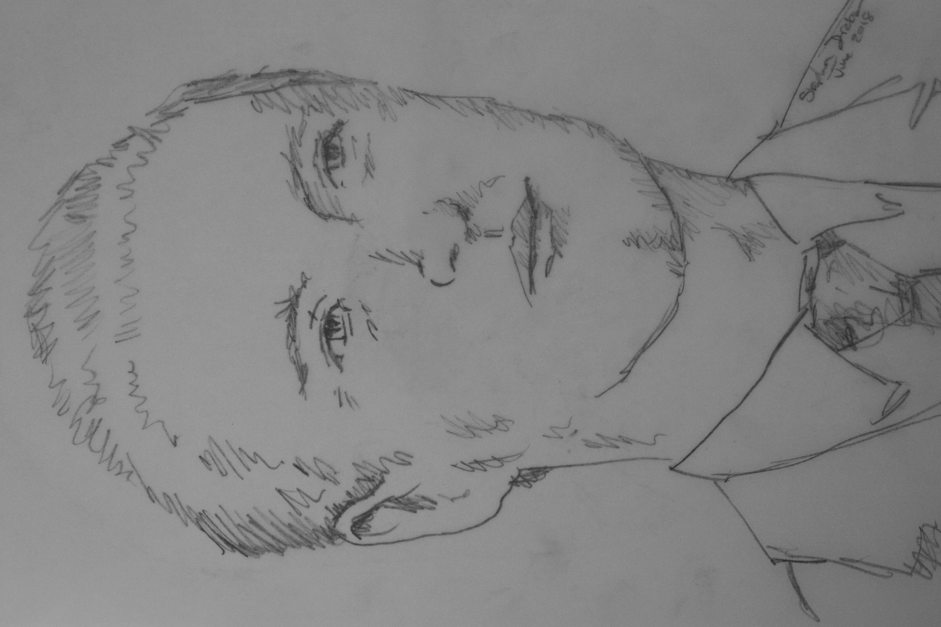 Silver, Robert