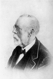Hoffmann, Professor