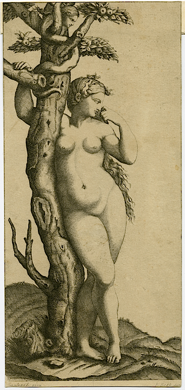 Eve