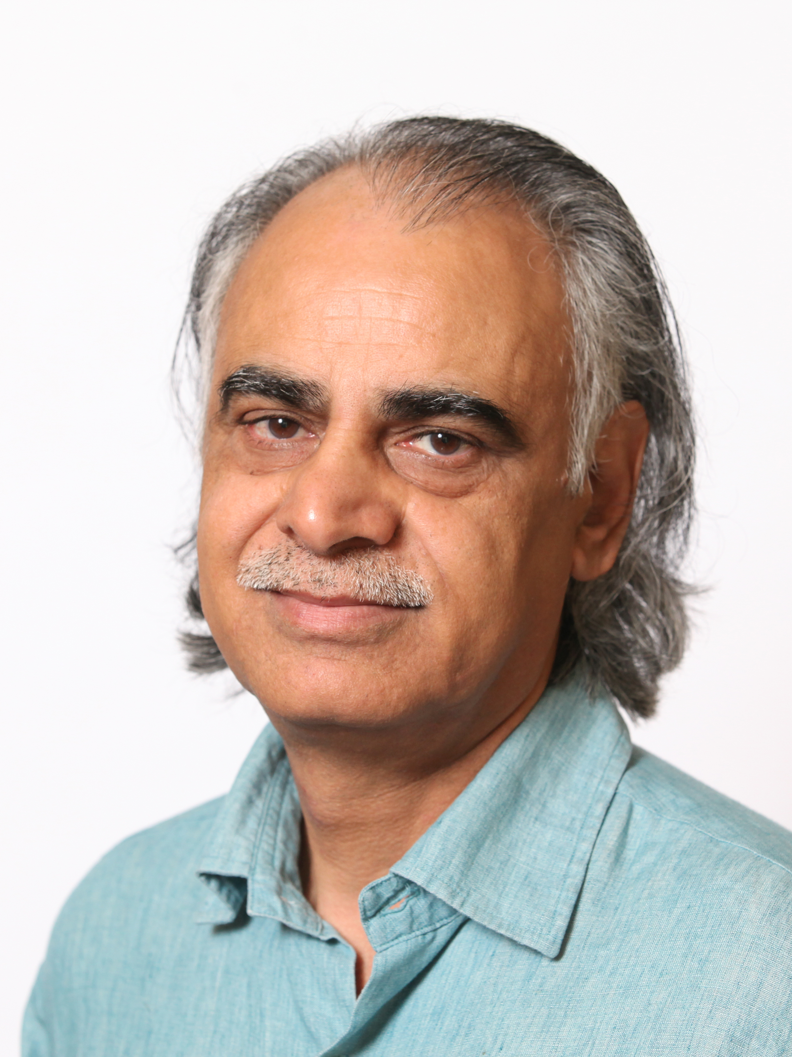 Sardar, Ziauddin