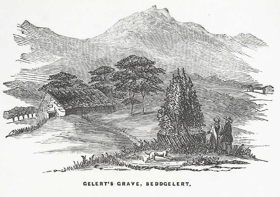 Gelert