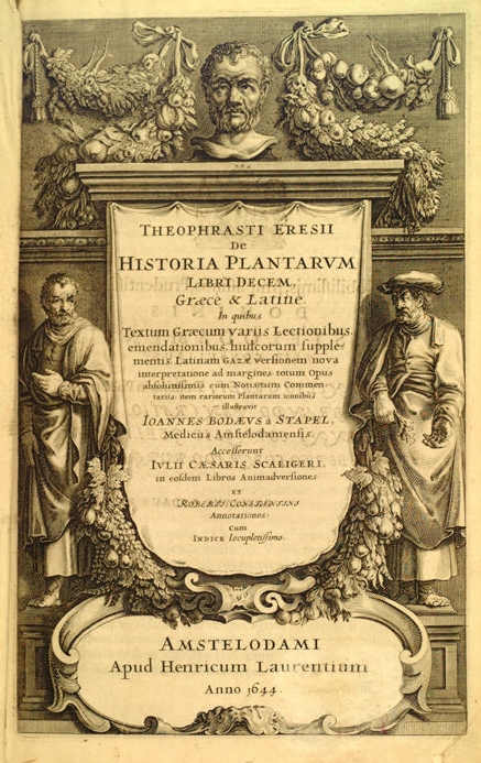 Theophrastus