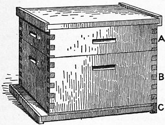 Beehive