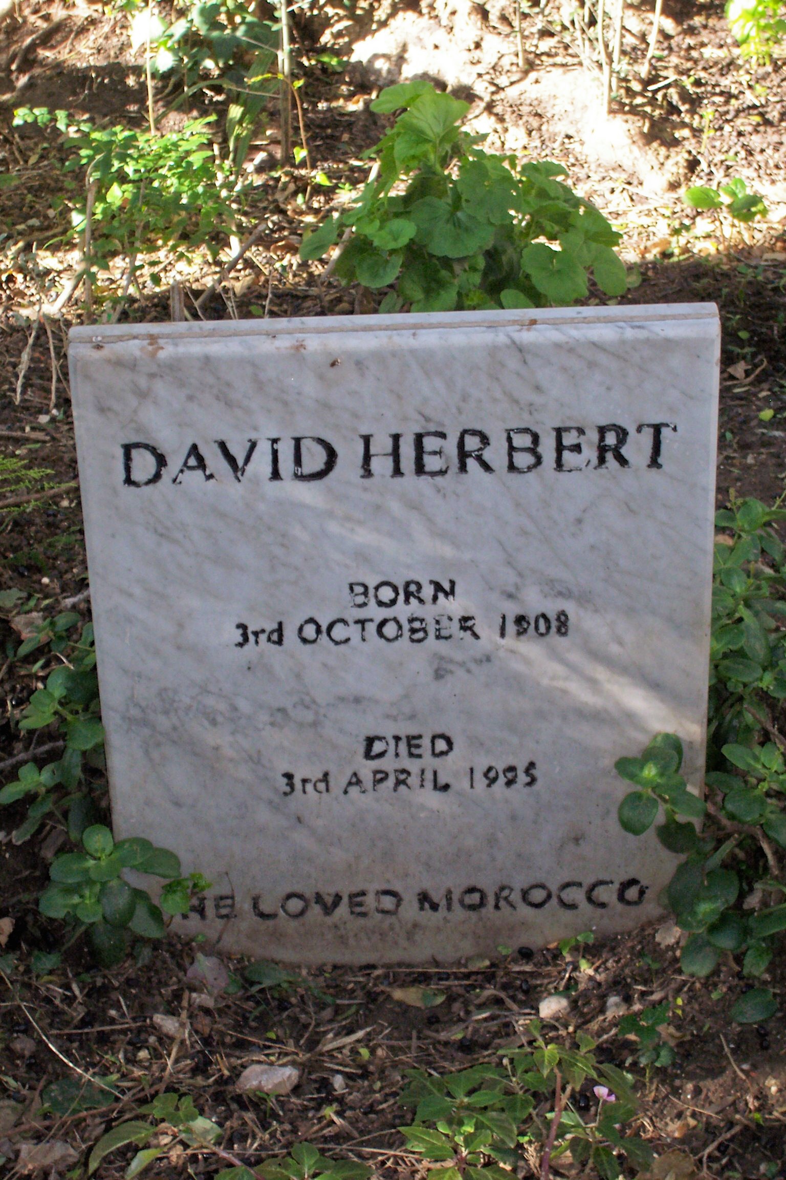 Herbert, David