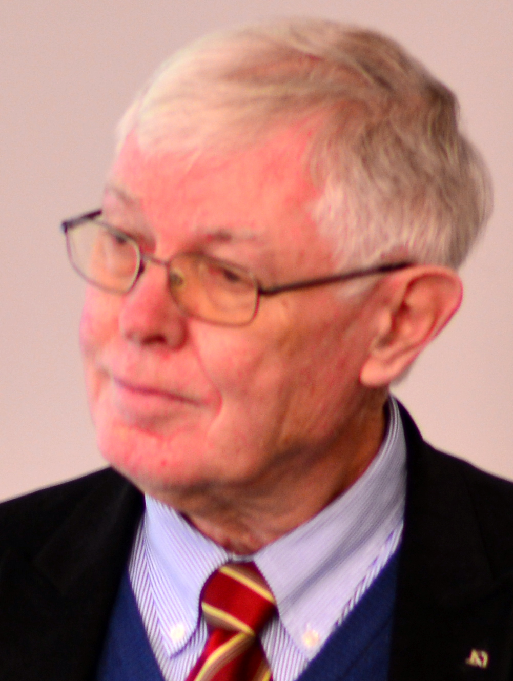 Deletant, Dennis