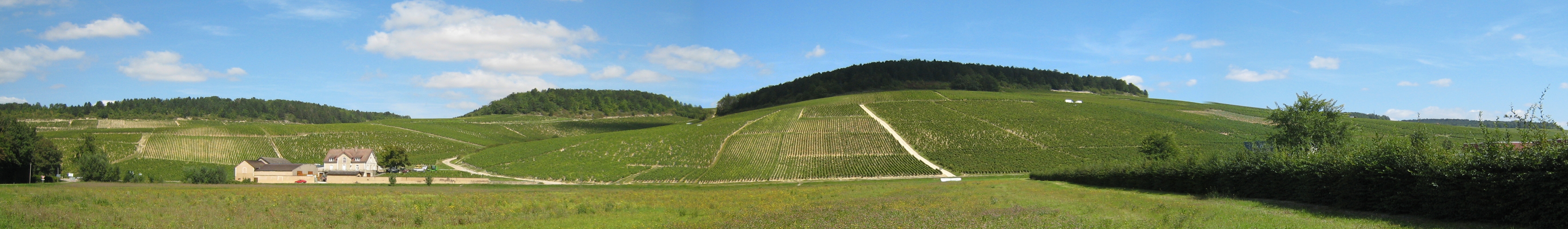Jouan