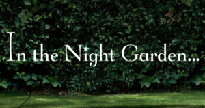 In the Night Garden