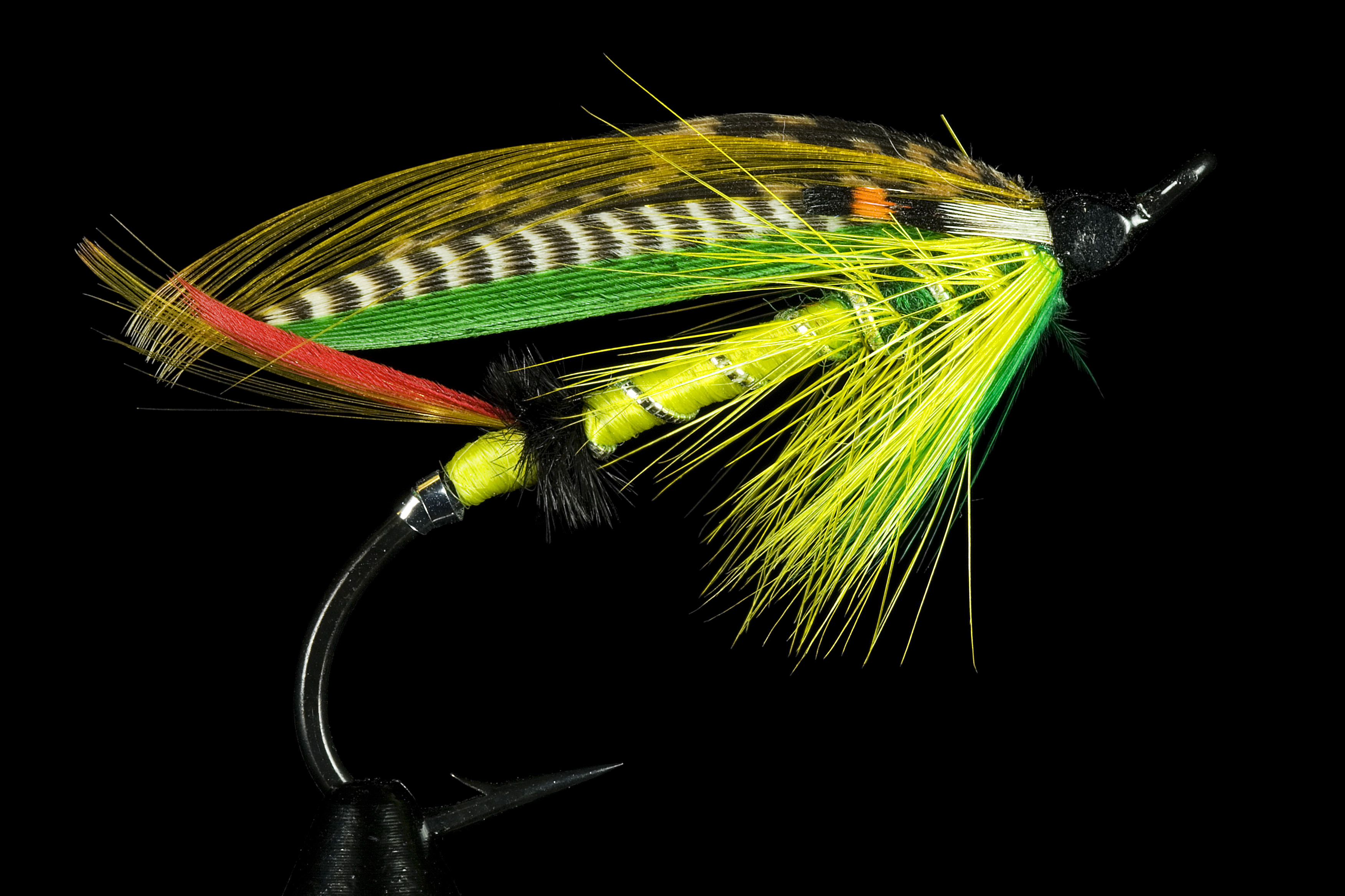 Orvis