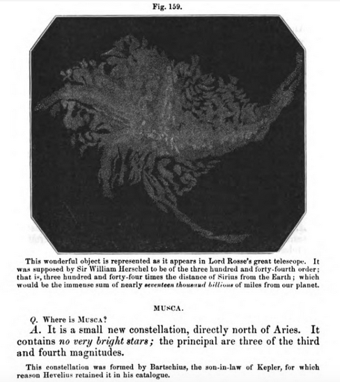 Hannah Bouvier Peterson