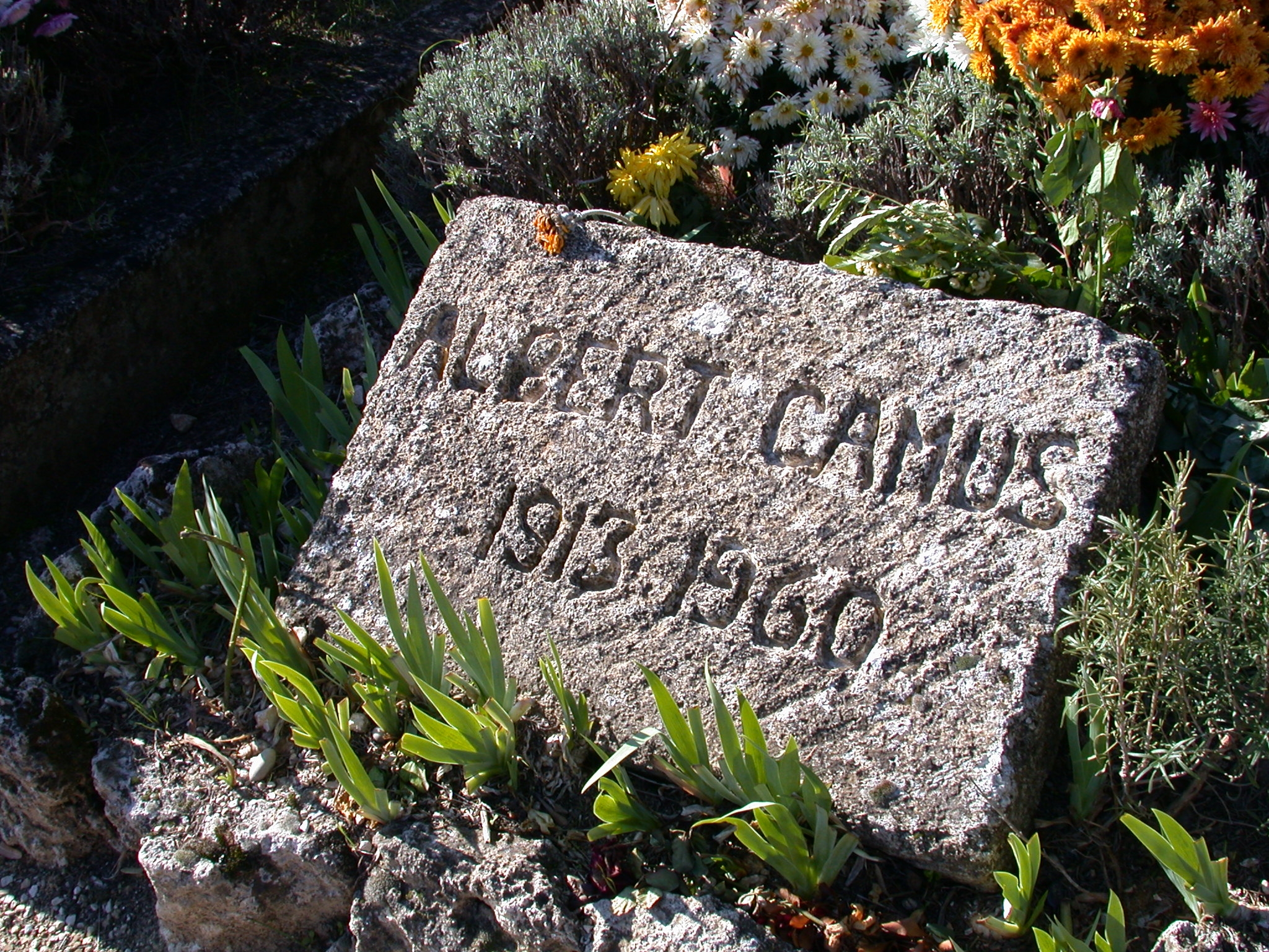 Albert Camus