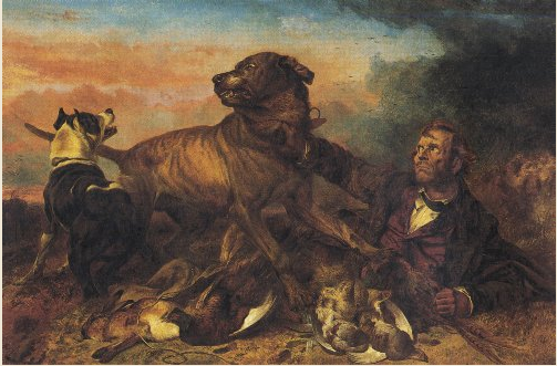 The Kennel Club