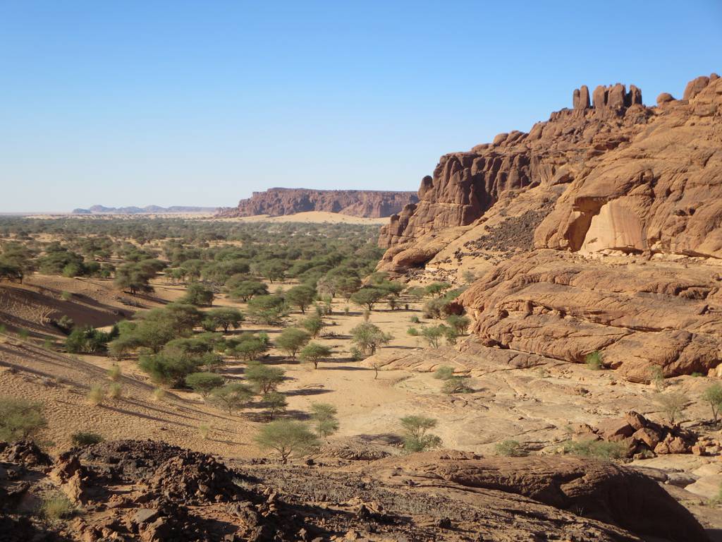 Sahel