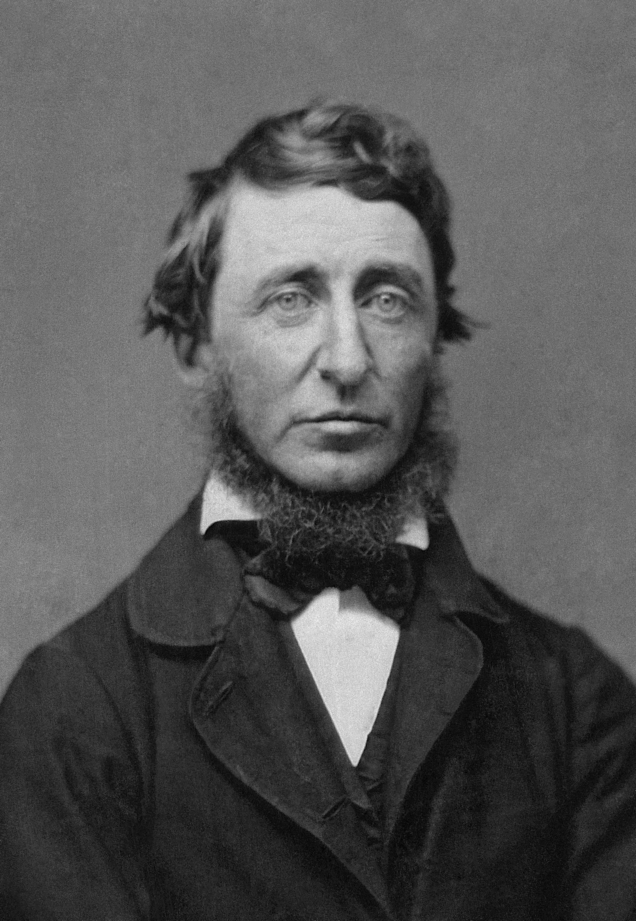 Palmer, Donald