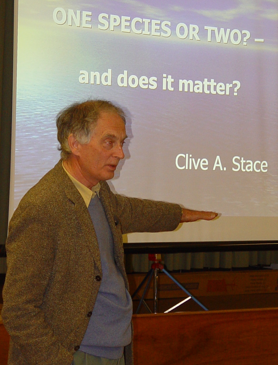 Stace, Clive A.