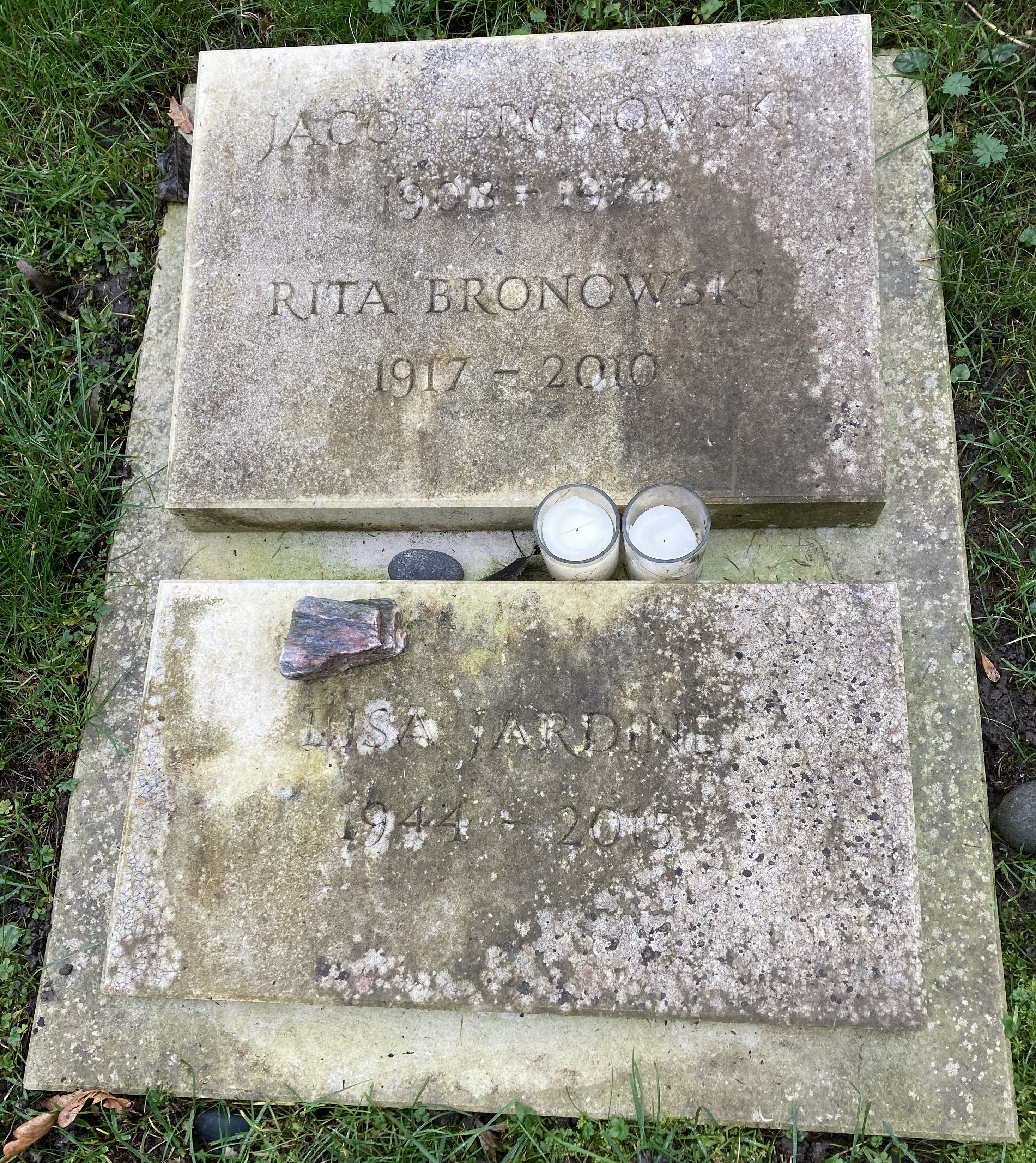 Jardine, Lisa