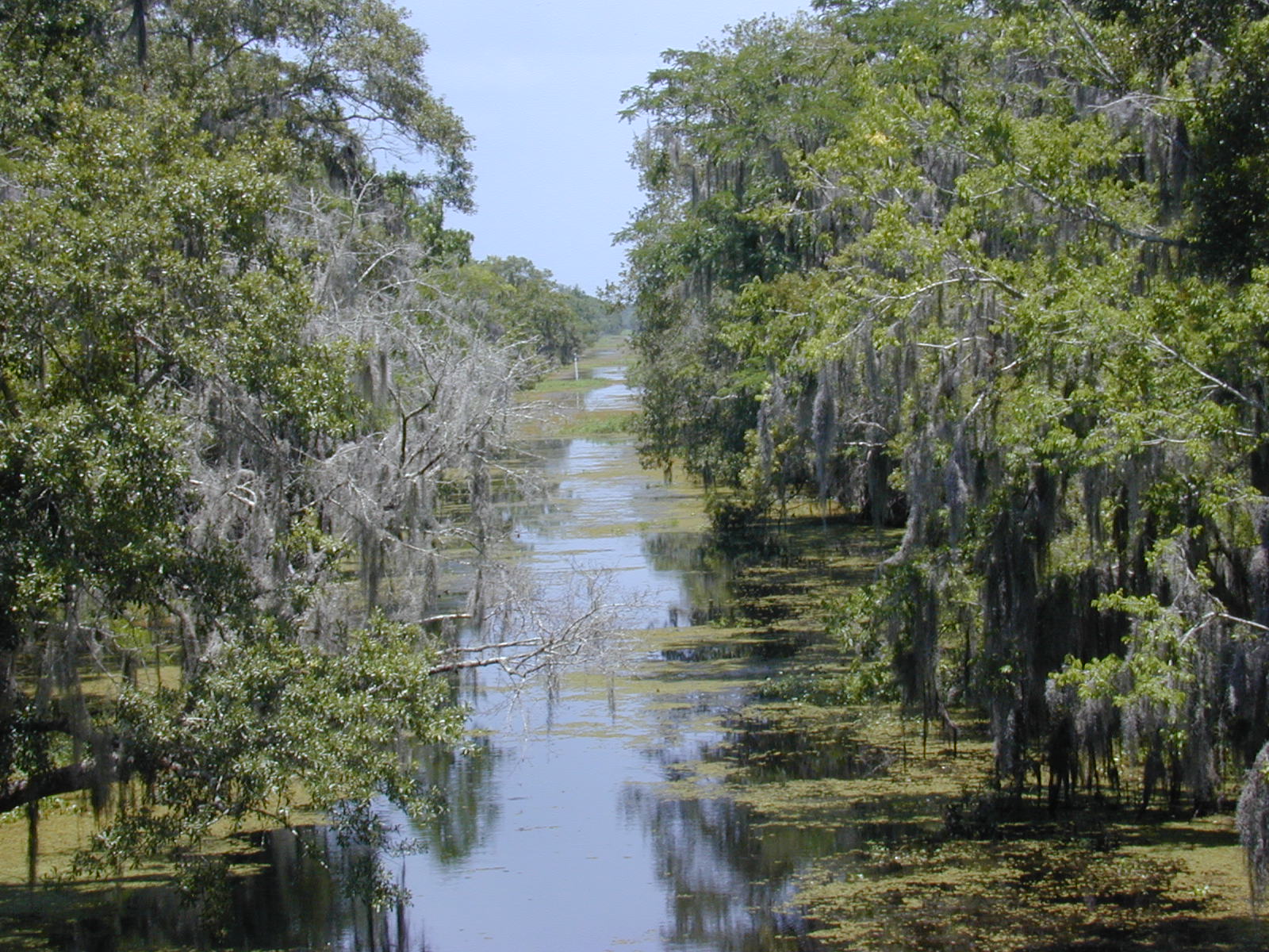 Lafitte