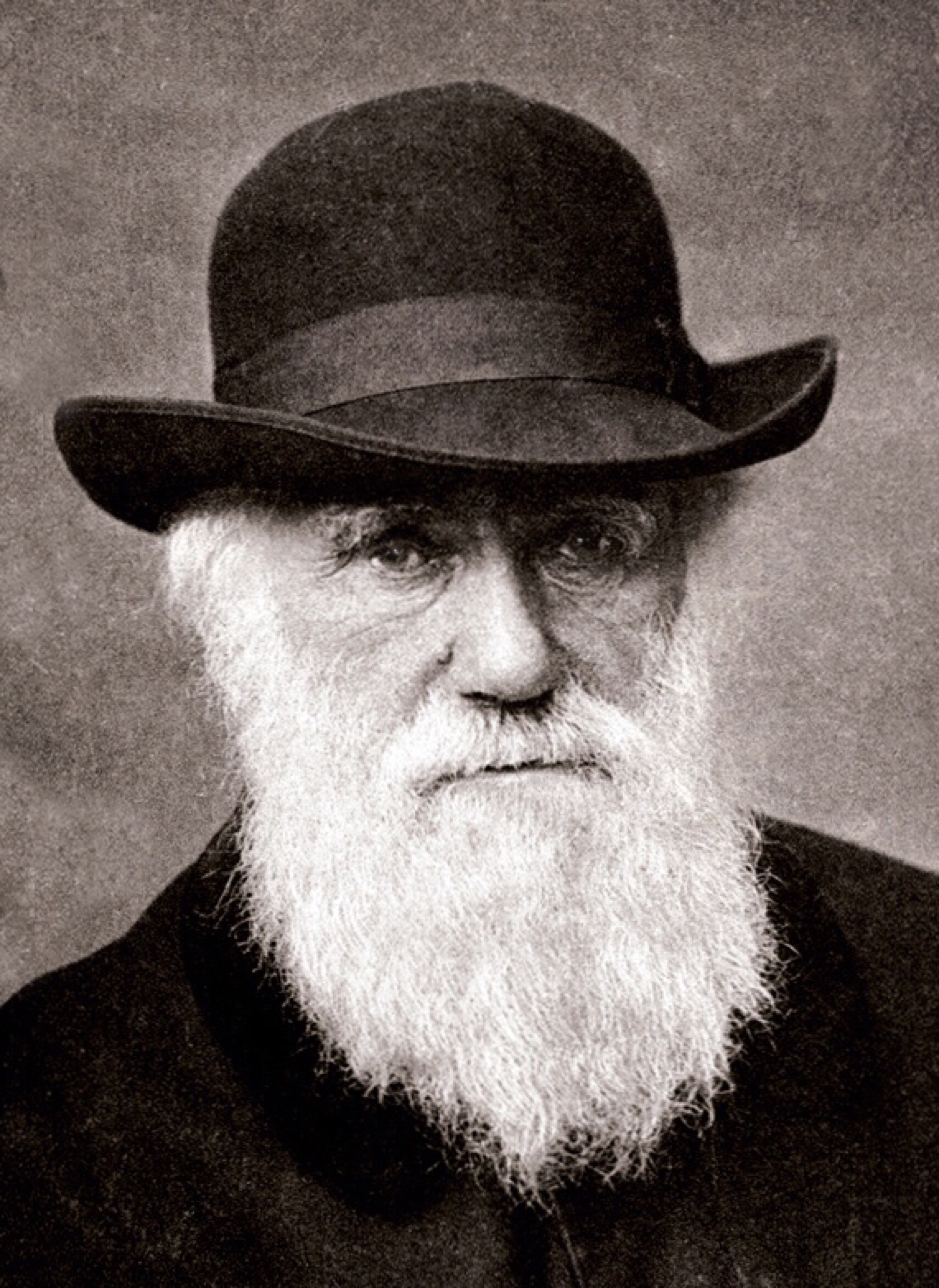 West, Stuart