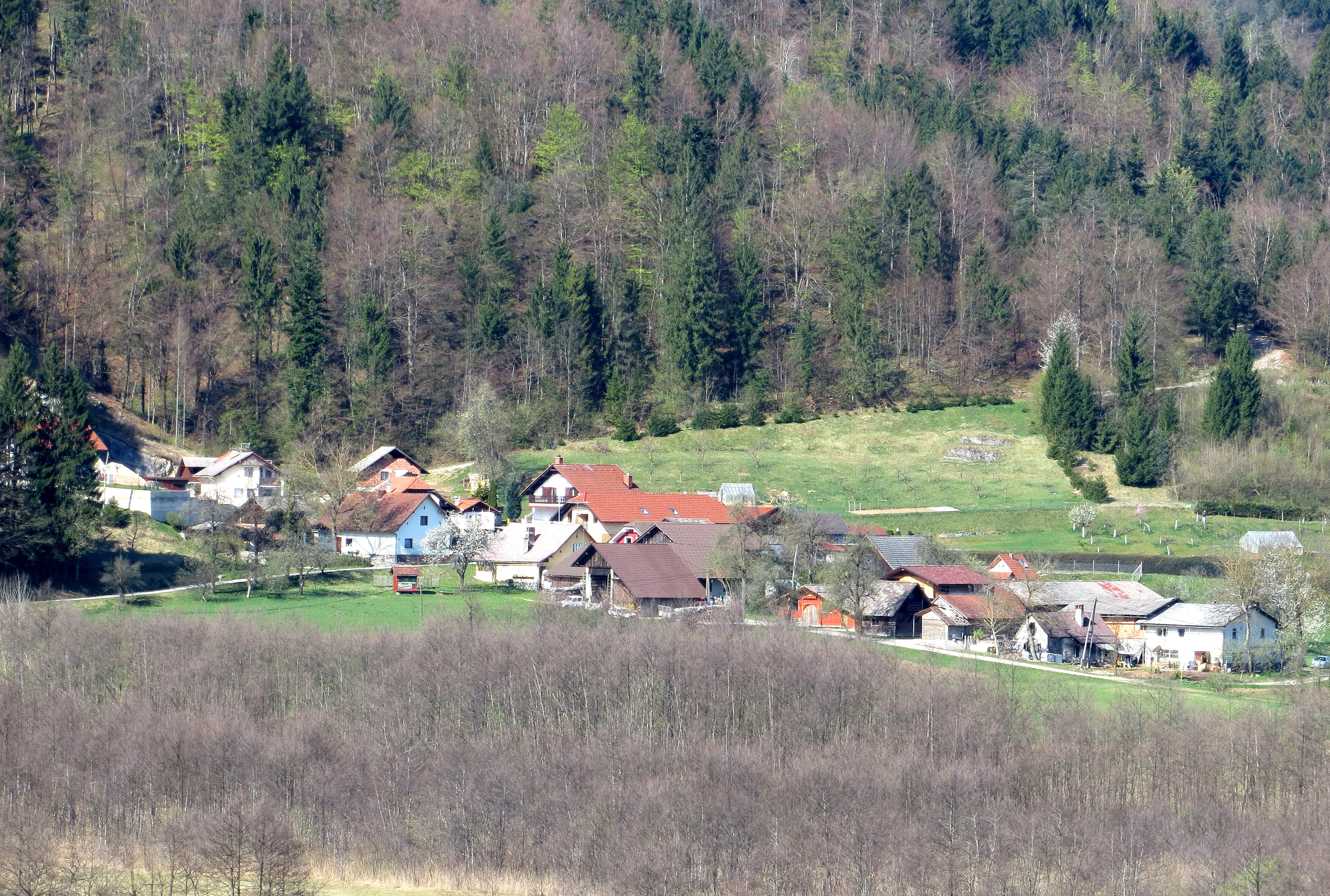 Tomazini