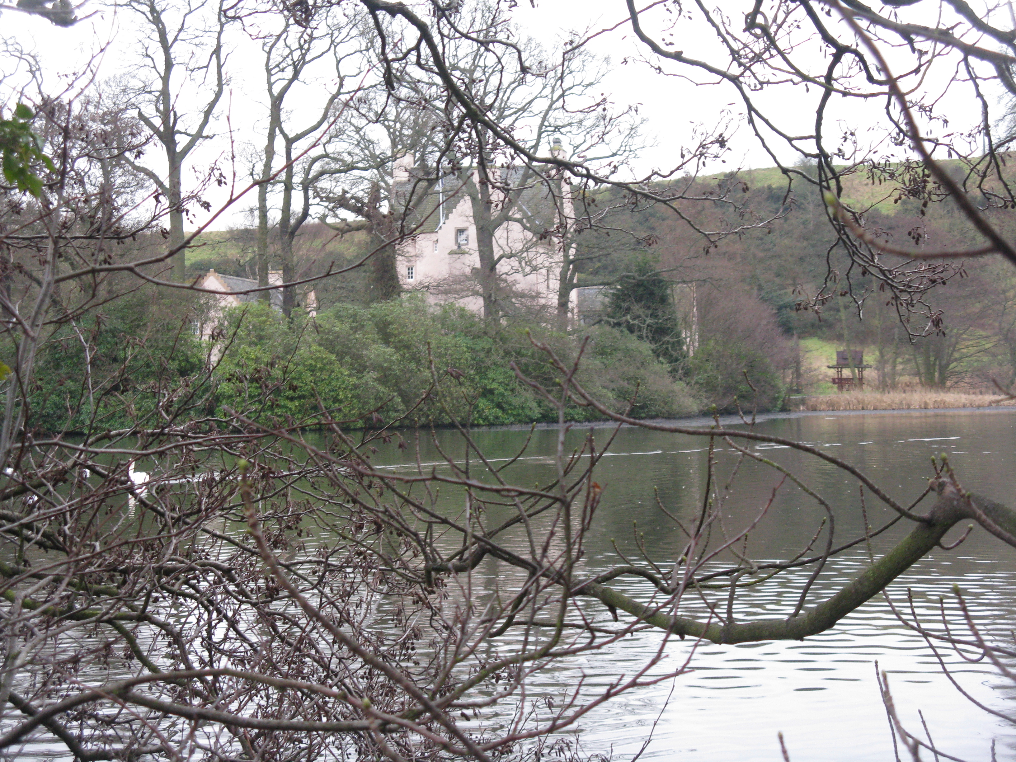 Couston
