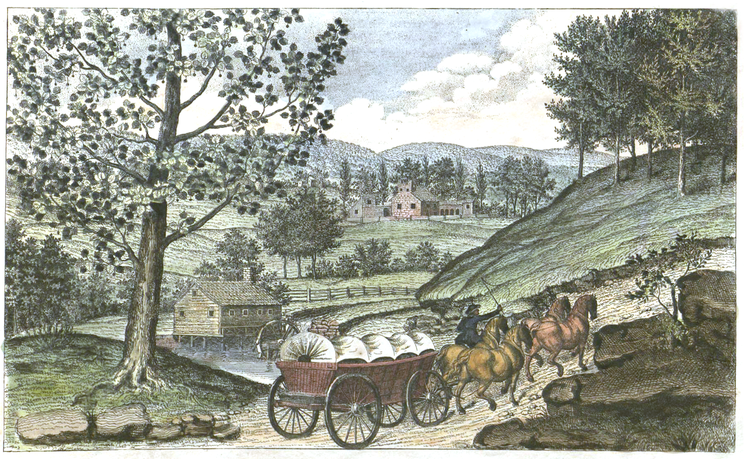Eckstein, John