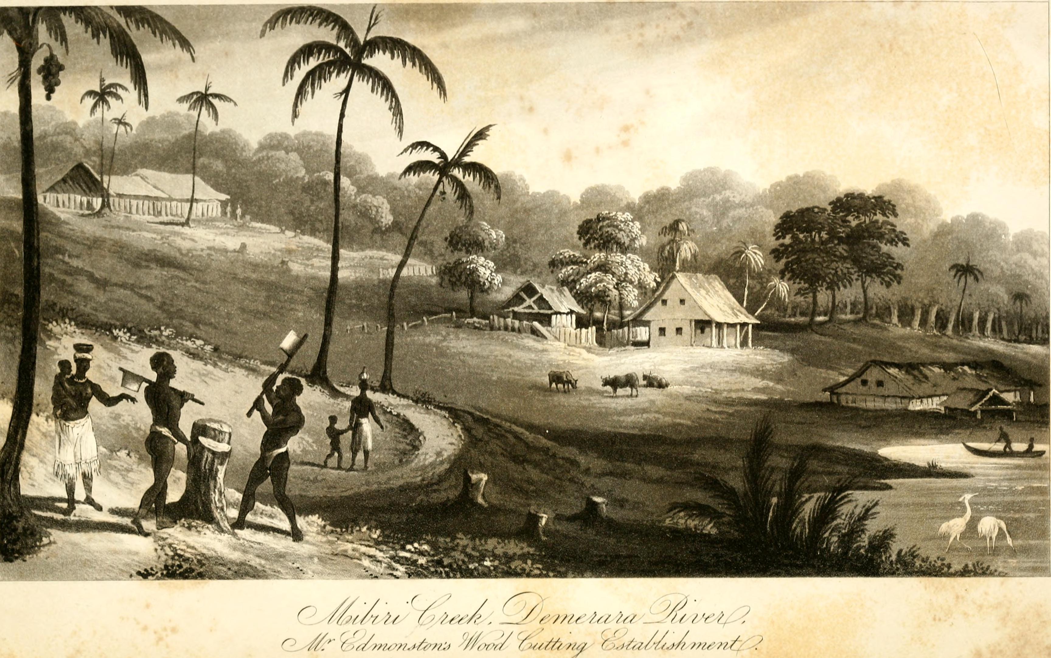 Edmonstone, John