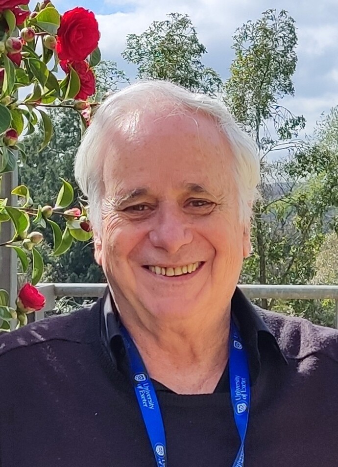 Pappe, Ilan