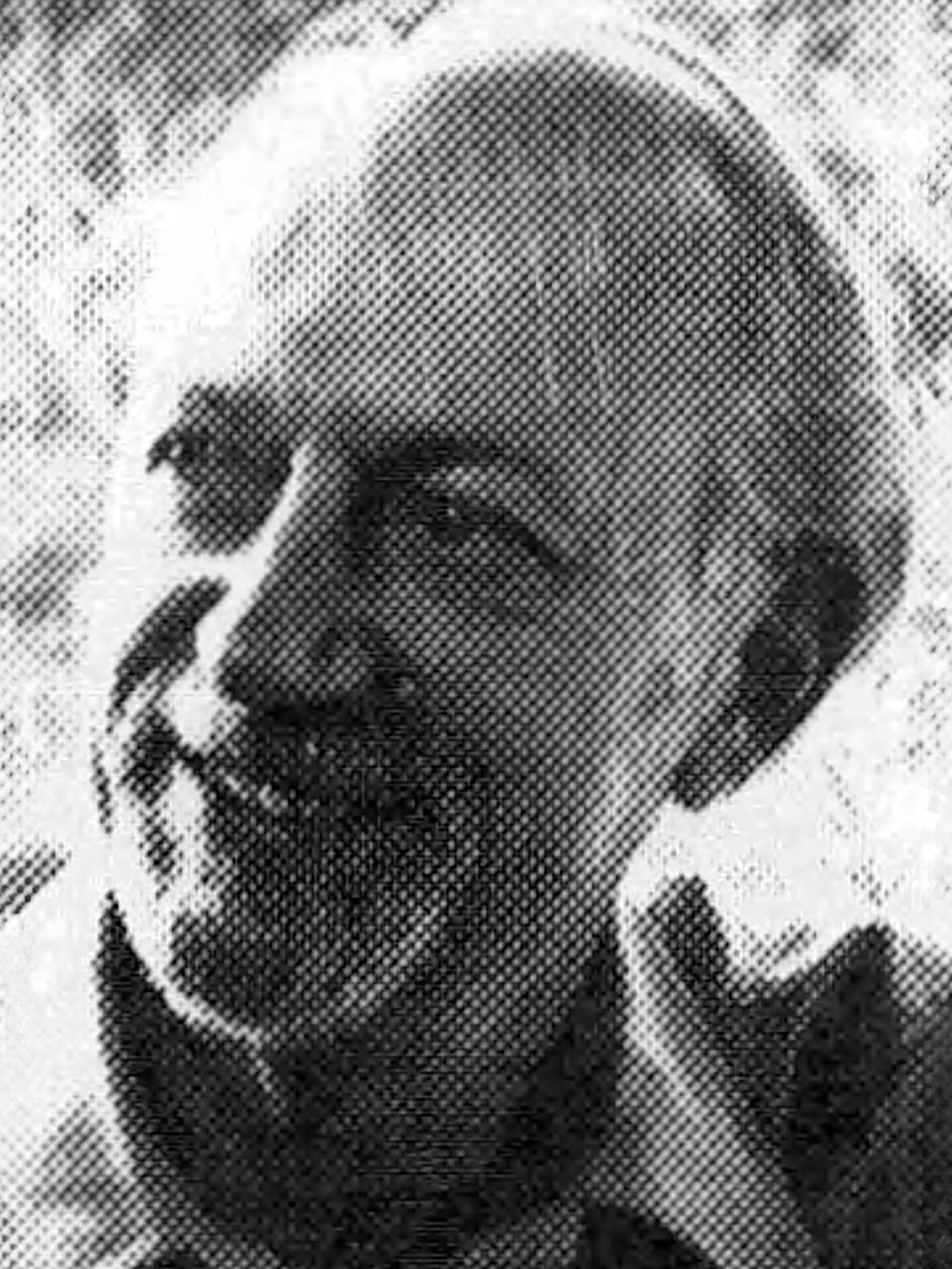 Howard Finn