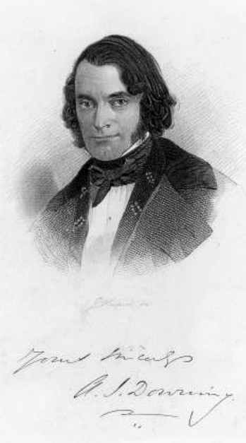 Downing, A. J.