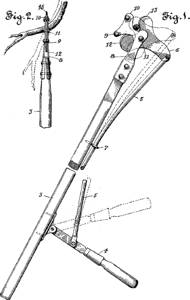 Pruner