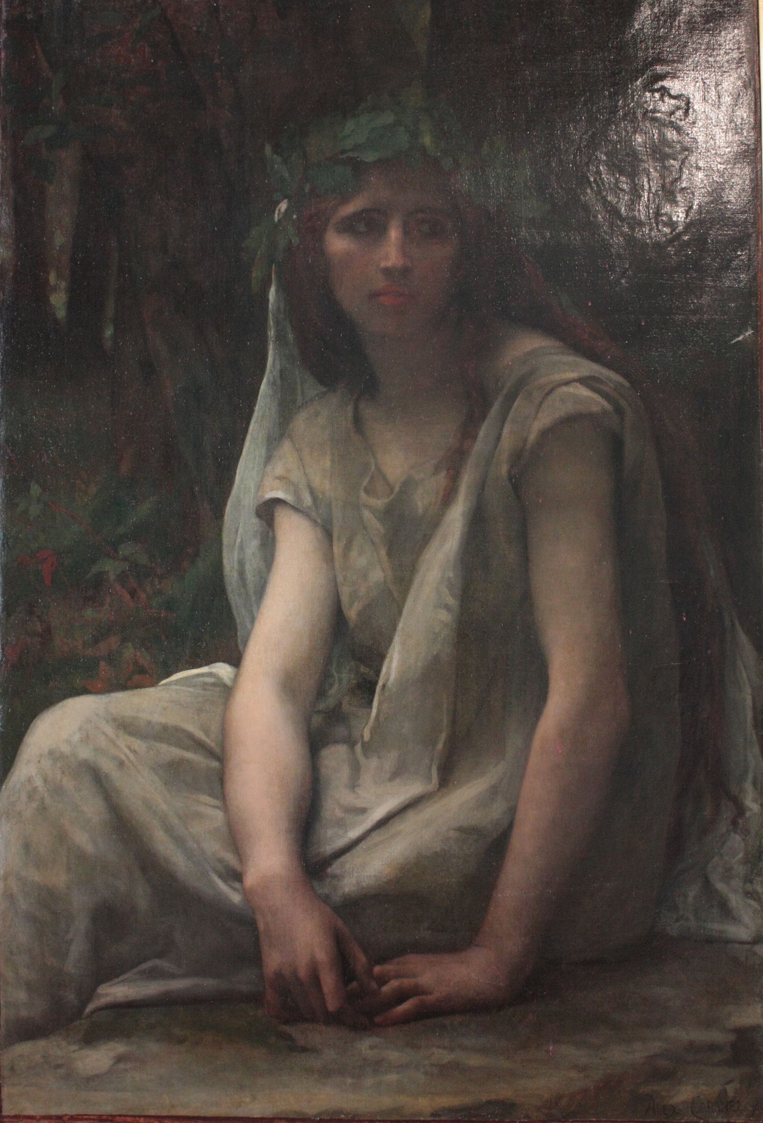 Druid