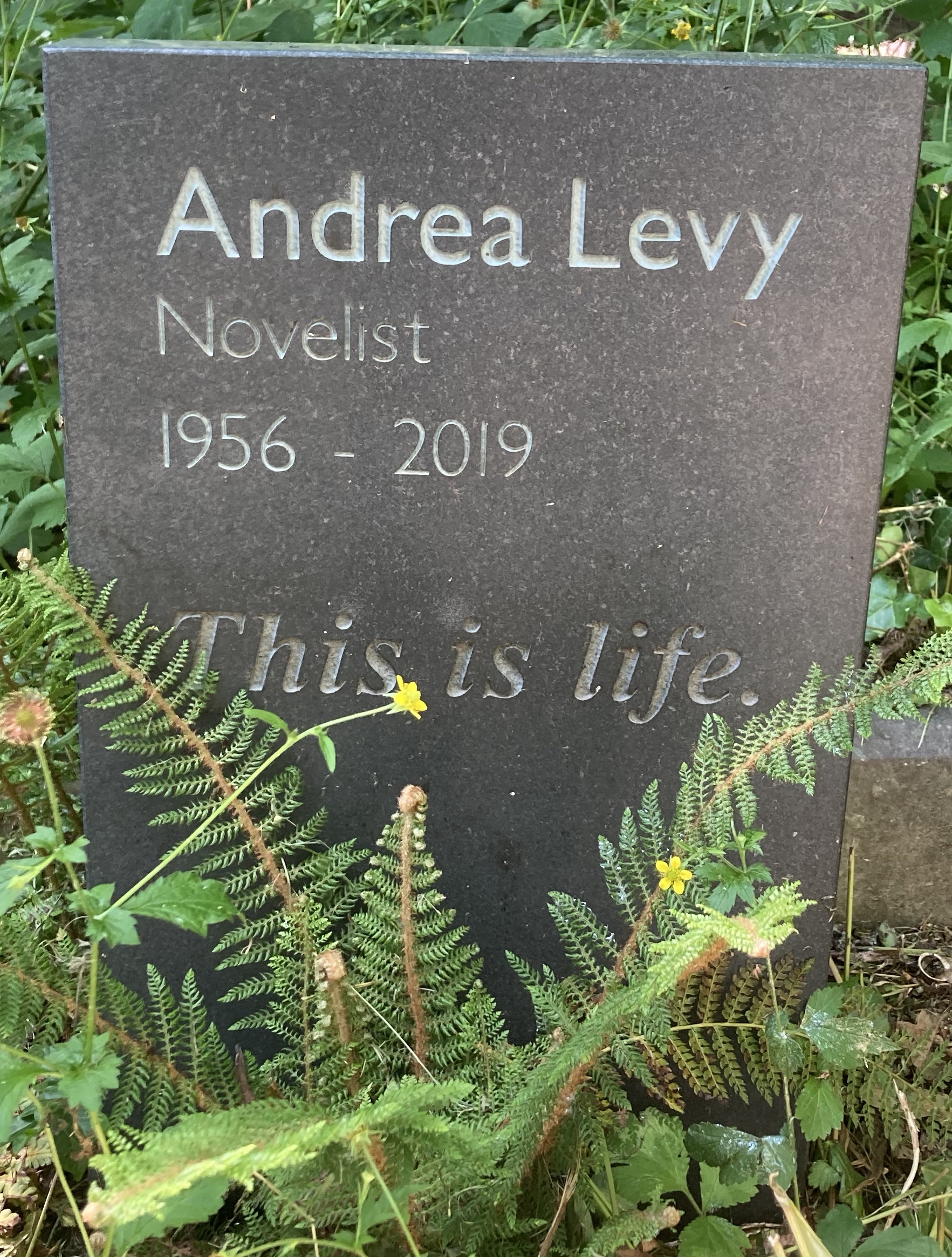 Levy, Andrea