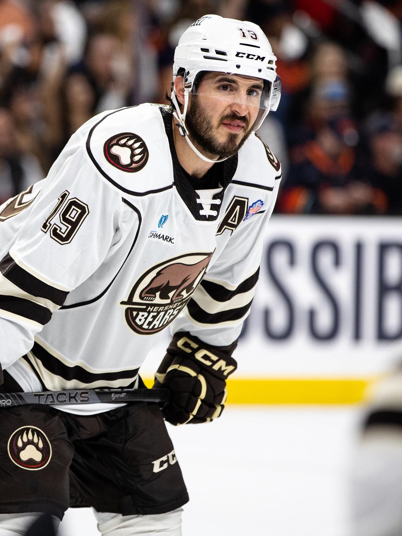 Vecchione, Mike