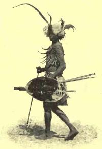 Havu
