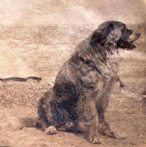 J.M. Barrie