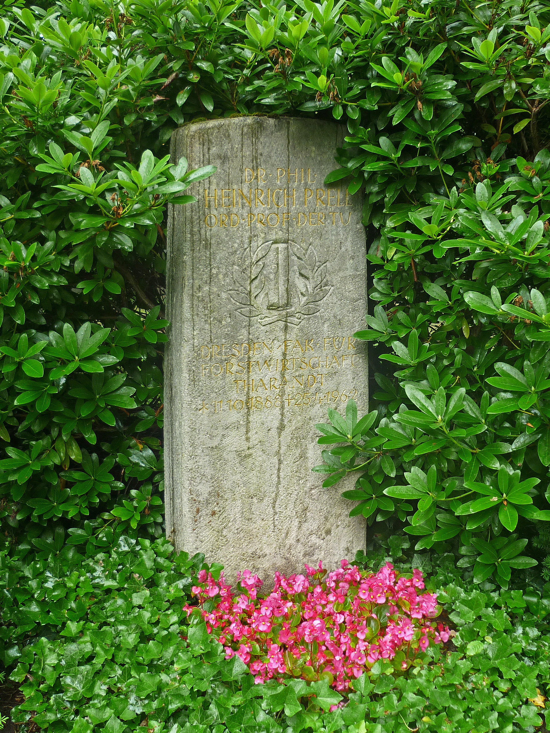 Prell, Heinrich