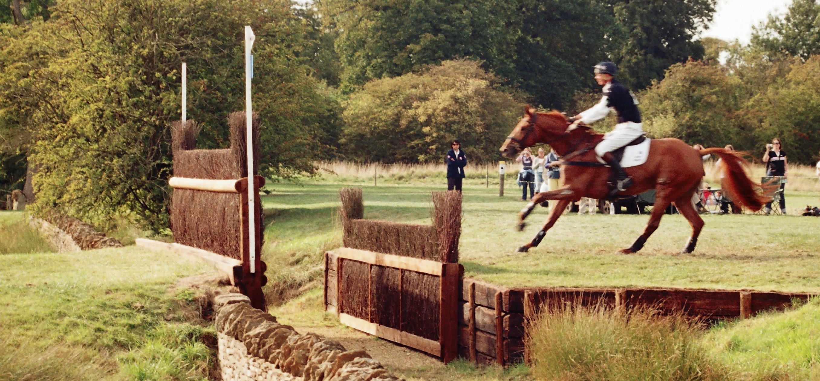 Fox-Pitt, William