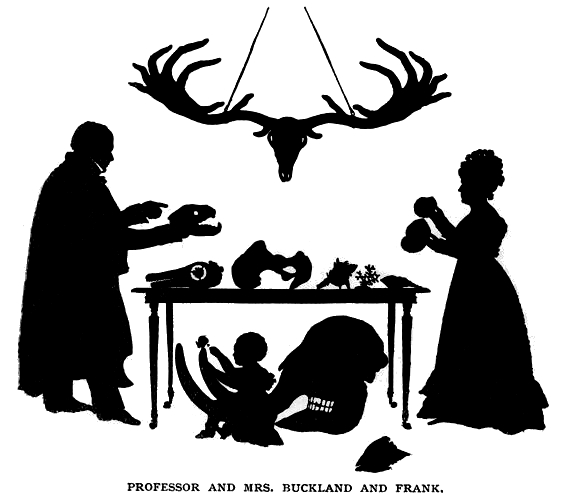 Buckland, William