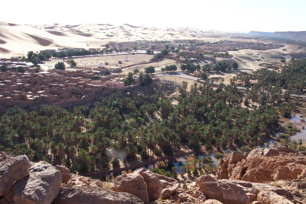 Oasis