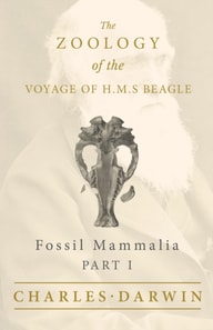 Fossil Mammalia - Part I - The Zoology of the Voyage of H.M.S Beagle
