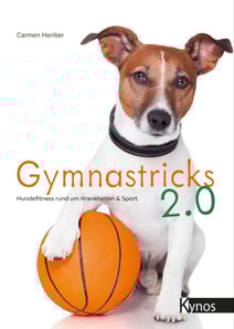 Gymnastricks 2.0