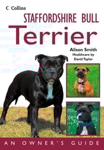 Staffordshire Bull Terrier