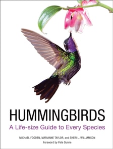 Hummingbirds