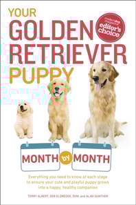 Your Golden Retriever Puppy Month by Month