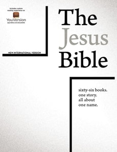 Jesus Bible, NIV Edition