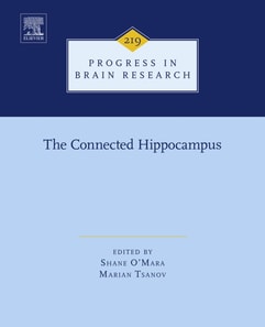 Connected Hippocampus