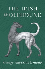 Irish Wolfhound