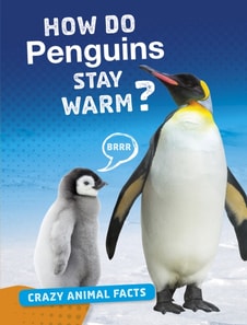 How Do Penguins Stay Warm?