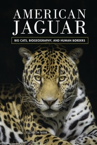 American Jaguar